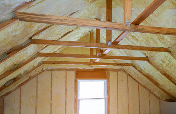 Best Cellulose Insulation in Salem, MO