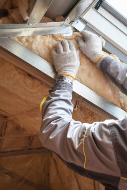 Best Specialized Insulation Services in Salem, MO
