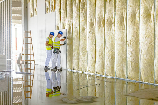 Best DIY Insulation Kits and Guidance in Salem, MO